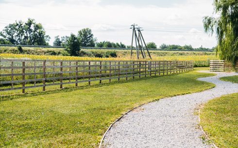 scenic path winding through a grassy area with a wooden fence and sunflowers in the background, ideal for tranquil outdoor strolls