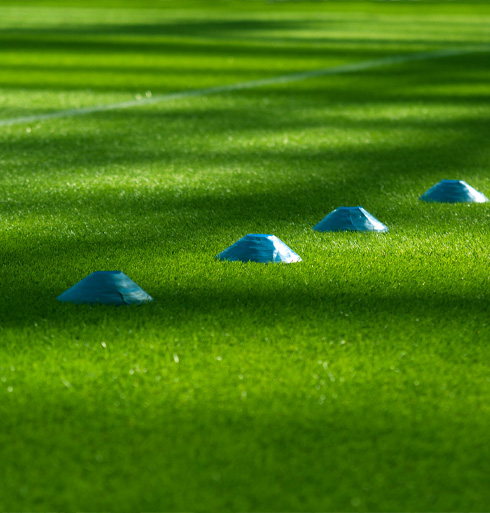 Blue training cones placed on vibrant green grass, ideal for sports drills and training sessions.