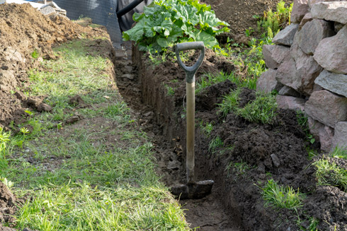 A shovel standing upright in a freshly dug trench surrounded by soil, grass, and a stone wall, with leafy plants visible in the background. Gardening tools and excavation in a well-maintained garden.