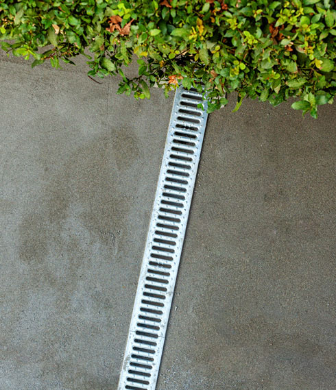 drainage grate running alongside a green bush on a concrete surface