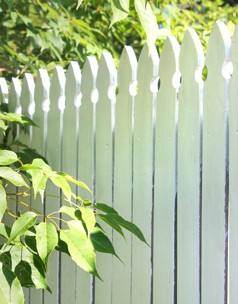 white picket fence partially obscured by green leaves in sunlight